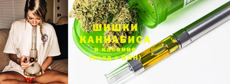 Шишки марихуана SATIVA & INDICA  наркота  Богородицк 